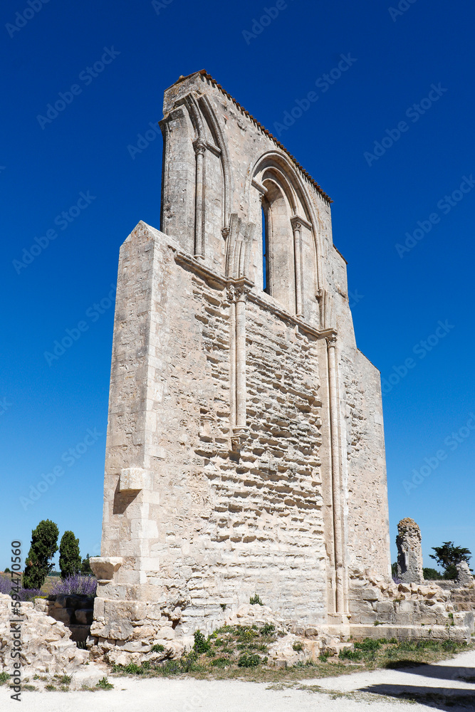 Charente-Maritime - Ile de Ré - Abbaye des Chateliers - Pans de mur du transept de l'église 