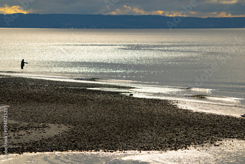Fotografie Fly Fisherman Casts for Sea-Run Cutthroat Trout off Picnic Point in Puget Sound