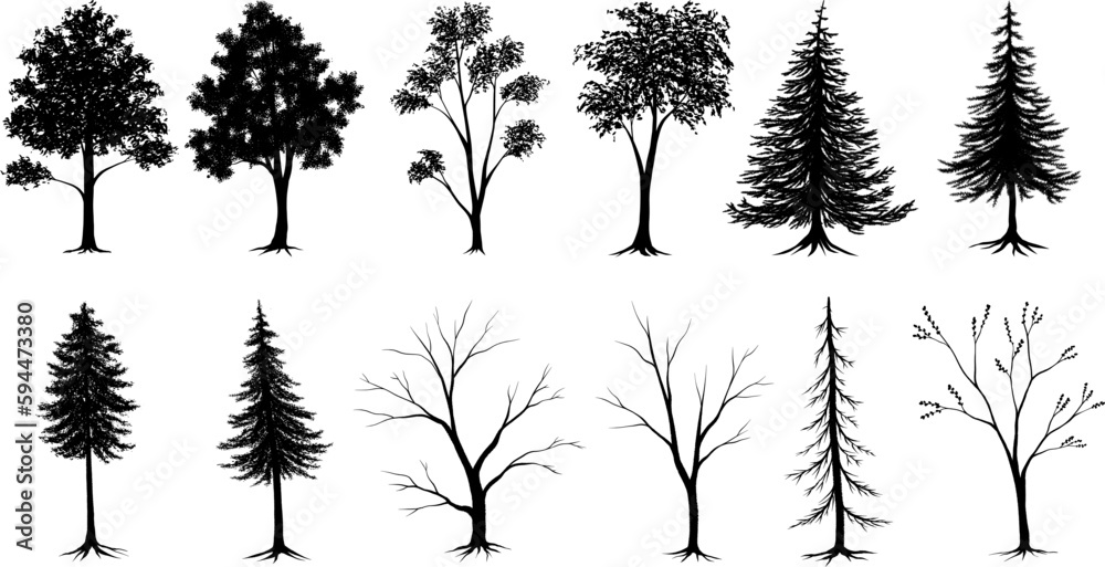 Obraz premium Trees for backgrounds set 1