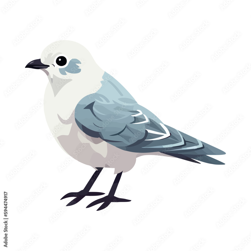 Fototapeta premium Cute seagull adorable bird