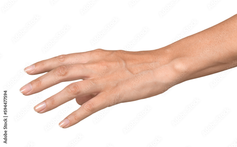 Empty Hand Holding Something , Reaching Empty Hand Holding Something , Reaching