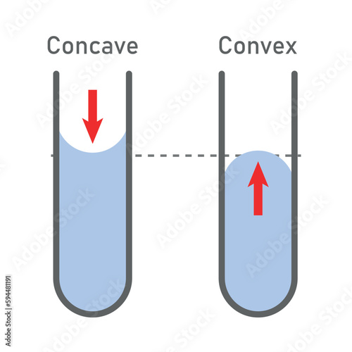Adhesion and cohesion of water. Concave and convex meniscus. Vector illustration isolated on white background.