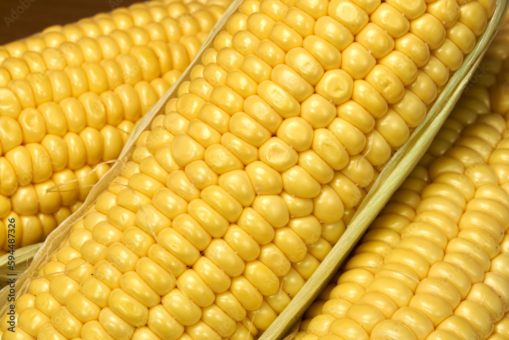 elotes, mexico