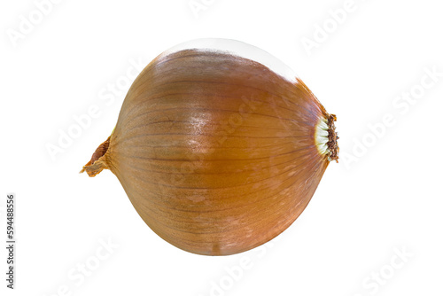 Wallpaper Mural Onion (allium Cepa Linnaeus) with brown skin isolated on white background Torontodigital.ca