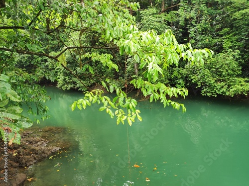 Fototapeta Naklejka Na Ścianę i Meble -  Green river (Agujitas river) found in Drake Bay, Costa Rica