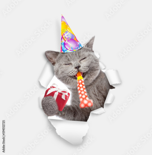 Fototapeta Naklejka Na Ścianę i Meble -  Happy cat wearing party cap blows in party horn and looks through a hole in white paper and holds gift box