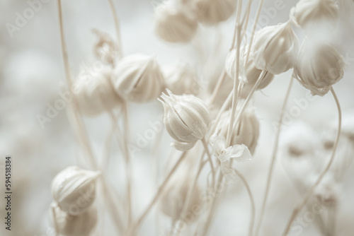 Beige small tiny dried romantic wedding bunch of flowers buds on blur neutral background  macro