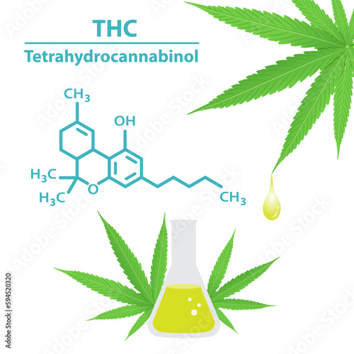 THC cannabis extract vector on white background. Chemical structure of tetrahydrocannabinol molecule. Drop of extract from cannabis leaves and THC in beaker illustration. Medical cannabis concept.