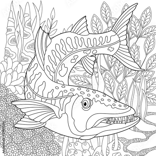 Underwater scene with a barracuda fish. Adult coloring book page with intricate mandala and zentangle elements.