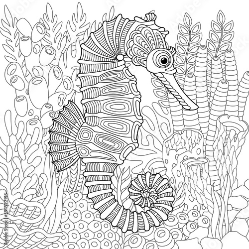 Underwater scene with a seahorse. Adult coloring book page with intricate mandala and zentangle elements.