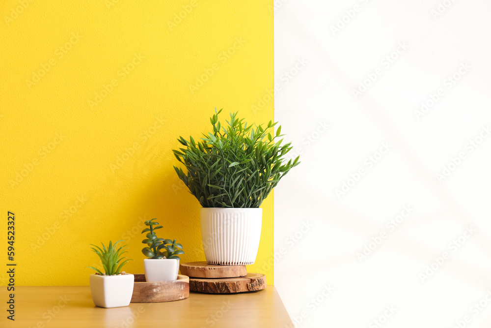 Fototapeta premium Artificial plants on table near color wall