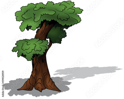 Deciduous Tree with Three Leafy Crowns