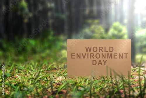 World environment day