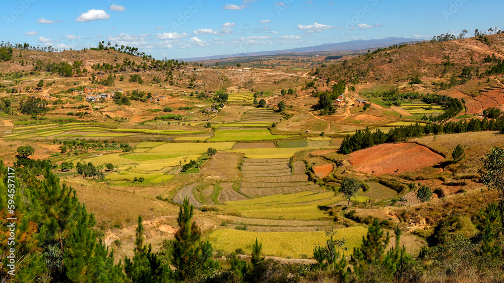 Champs Cultiv s Dans Les Hautes terres De Madagascar Stock Photo champs-cultiv-s-dans-les-hautes-terres-de-madagascar-stock-photo