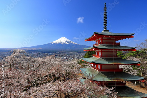 View of Mt. Fuji with cherry blossom (sakura ) in spring from Arakura Fuji Sengen Shrine, in Fujiyoshida, Japan