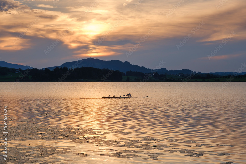 Sonnenuntergang über dem Hopfensee, Hopfen am See, Allgäuer Alpen, Allgäu, Bayern, Deutschland, Europa Sonnenuntergang über dem Hopfensee, Hopfen am See, Allgäuer Alpen, Allgäu, Bayern, Deutschland, Europa