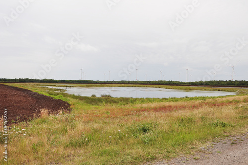 Die Moorlandschaft für Torfgewinnung und Renaturierung: Wichtiger CO2 Speicher und gut für das Klima, das Campe Moor im Erholungsgebiet Dammer Berge photo