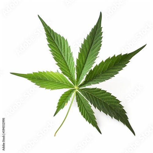 Cannabis, Maihuana, Gras, Weed, Ganja, Dope, grünes Blatt isoliert, generative AI