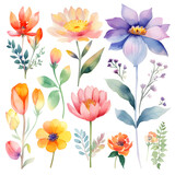 Watercolour floral illustration set. Decorative elements template on white background