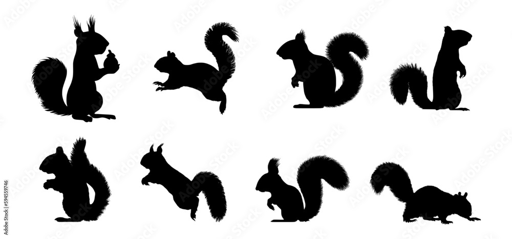 set of squirrel silhouettes in various poses set of squirrel silhouettes in various poses