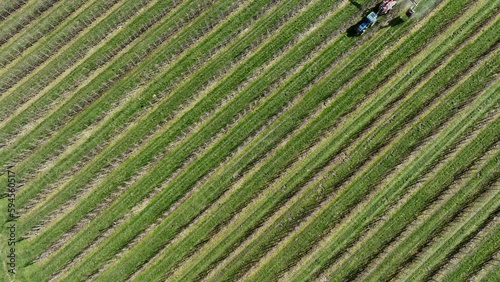 Landwirtschaft, spritzen von Pflanzenschutzmittel auf einer Obstplantage
