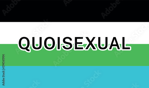 View of International Quoisexual Pride Flag