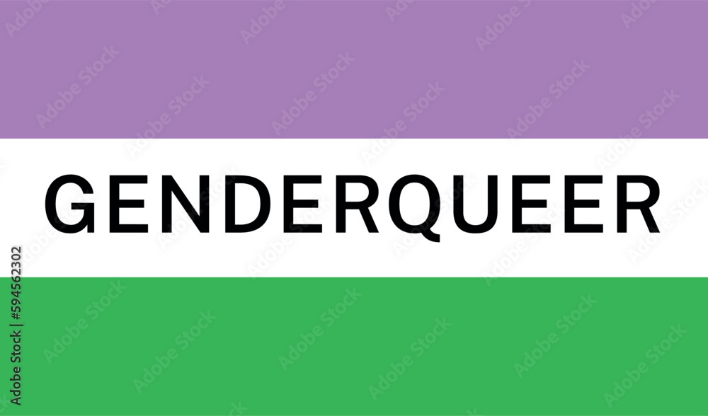 View of International Genderqueer Pride Flag View of International Genderqueer Pride Flag