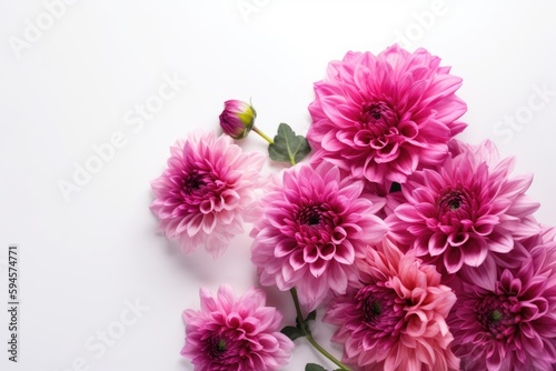 Top view of pink dahlia flower bouquet isolated on white background. AI Generated.