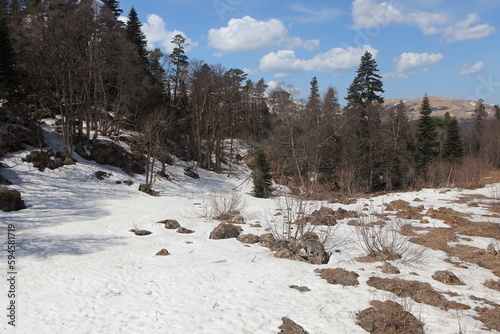 Lago-Naki plateau in spring  Republic of Adygea  Russia