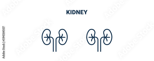 kidney icon. Outline and filled kidney icon from medical collection. Line and glyph vector isolated on white background. Editable kidney symbol