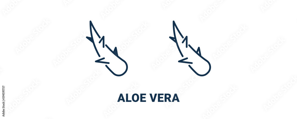 aloe vera icon. Outline and filled aloe vera icon from beauty and elegance collection. Line and glyph vector isolated on white background. Editable aloe vera symbol. aloe vera icon. Outline and filled aloe vera icon from beauty and elegance collection. Line and glyph vector isolated on white background. Editable aloe vera symbol.
