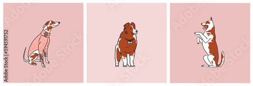 Photography Hand drawn vector abstract graphic line collection set with diverse cute funny cartoon dogs characters