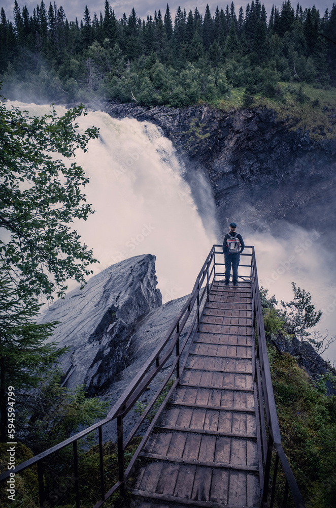 Fototapeta premium bridge over the river