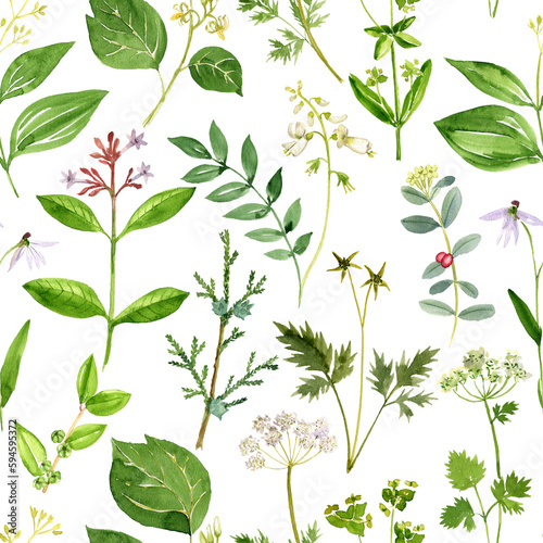 watercolor drawing seamless pattern with green plants and flowers at white background  hand drawn illustration  natural backdrop