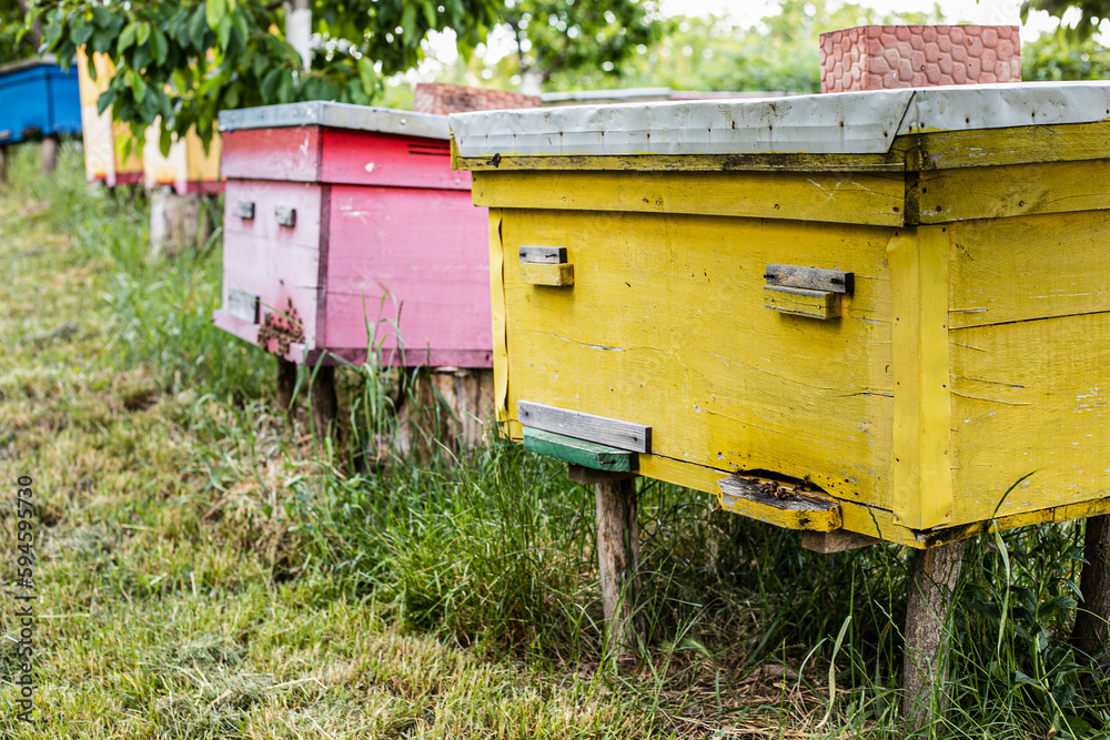Frame image of a bee colorful home at meadow, in garden. Frame image of a bee colorful home at meadow, in garden.