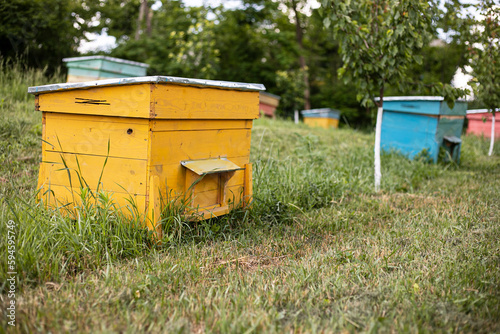 Full length image of a bee colorful home at meadow, in garden.