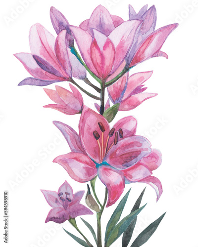 Watercolor drawing pink lilies wedding illustration. Notebook сover clip art decoration invitation greeting card. Branch bouquet of flowers delicate petals painting floral elements isolated on white