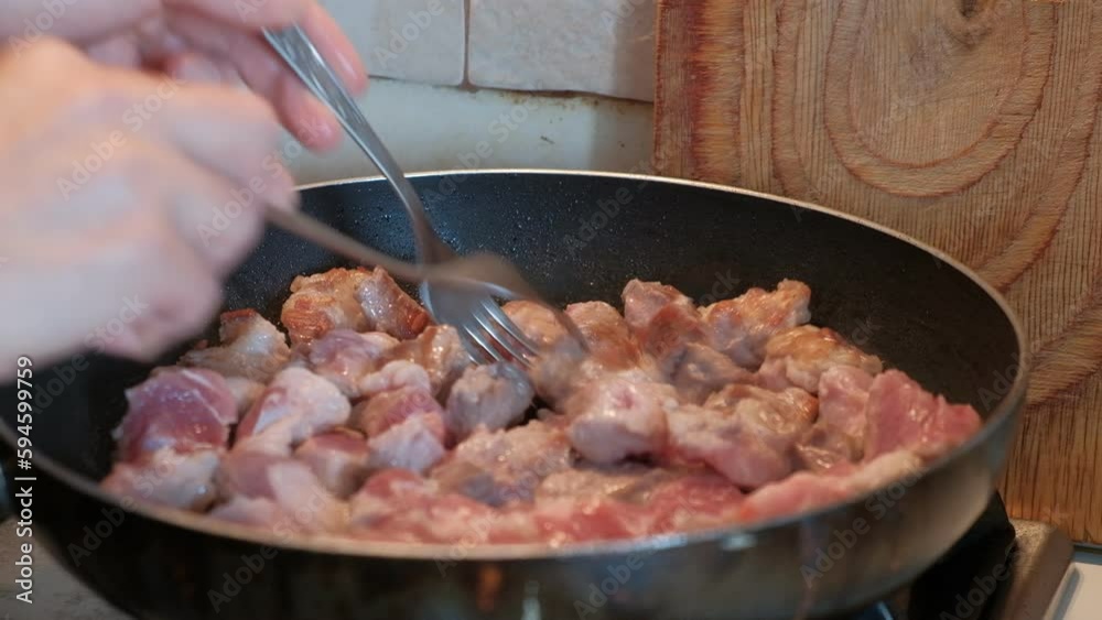 cooking process dinner lunch breakfast cooking meat dish cooking process dinner lunch breakfast cooking meat dish