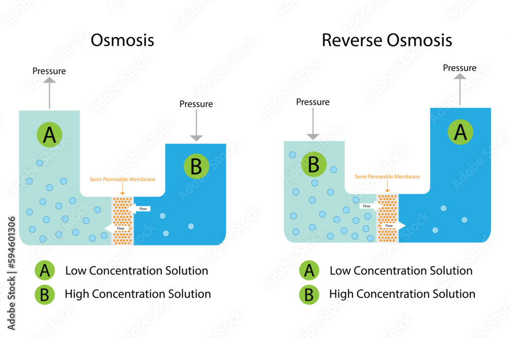 Vetor de illustration of chemistry, Osmosis and Reverse Osmosis