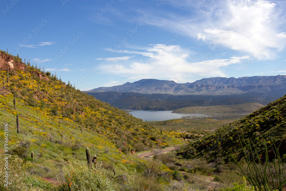 Theodore Roosevelt Lake viewed from the scenic drive in Tonto National Monument in Arizona Theodore Roosevelt Lake viewed from the scenic drive in Tonto National Monument in Arizona