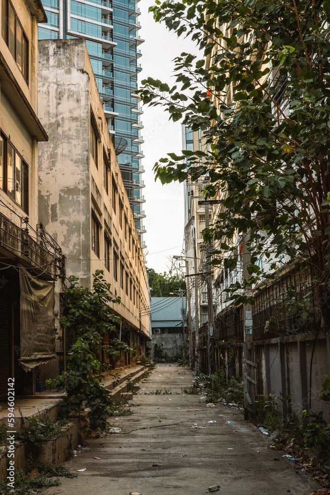 the alley leads to many buildings in the city, as well as a building the alley leads to many buildings in the city, as well as a building