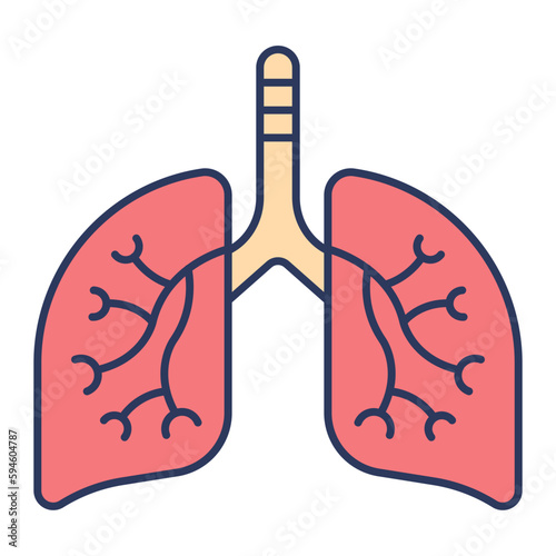 Lungs