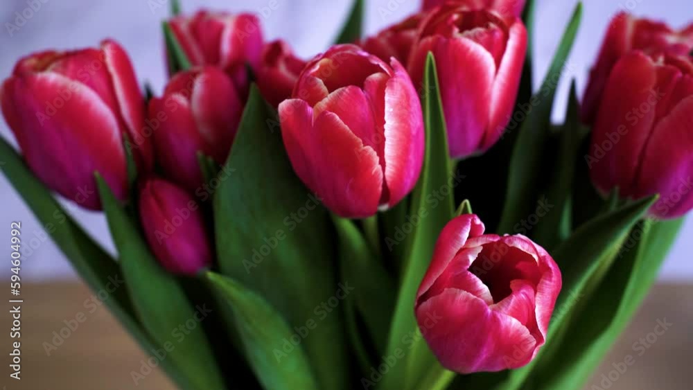 Closeup of a bouquet of delicate pink tulips in a vase decorating the room on blurred background Closeup of a bouquet of delicate pink tulips in a vase decorating the room on blurred background