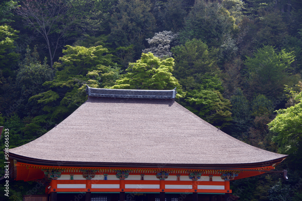 新緑の清水寺　奥の院の桧皮葺の屋根　京都市東山区