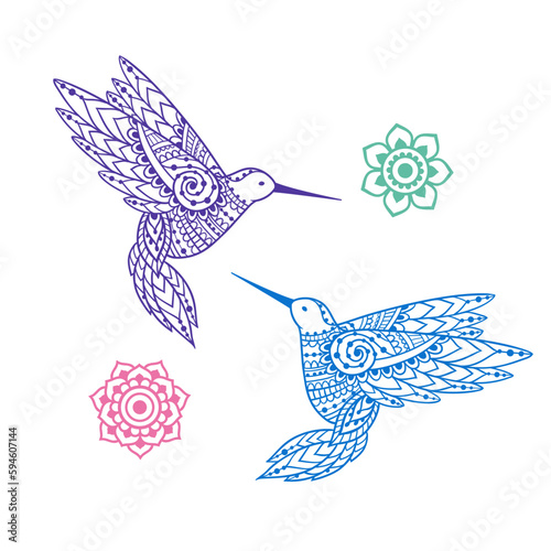 Hummingbird zen ornament mandala. Vector illustration. Colibri
