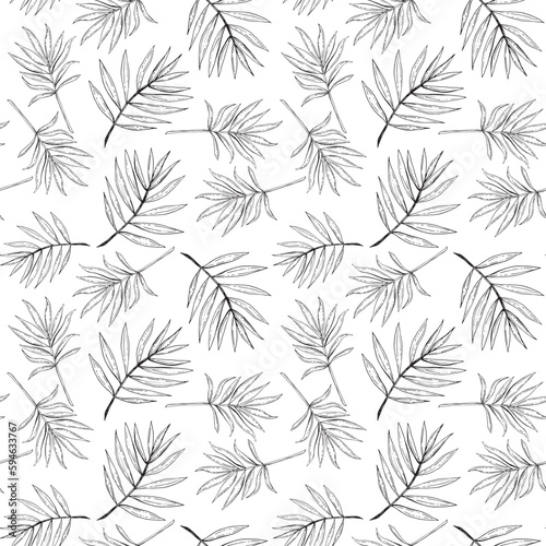 Stylish Minimal hand drawn sketch tropical leaves brushed strokes style Black and white mood Design for fashion , fabric, textile, wallpaper, cover, web , wrapping and all prints