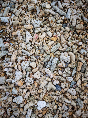 Texture background made of close detail view of small natural brown stones, pebbles and crushed shells on sea or ocean beach at sunny day