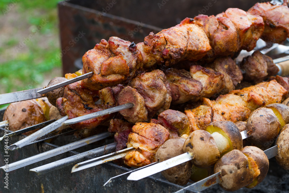 Grilling marinated shashlik (skewered meat) on a grill