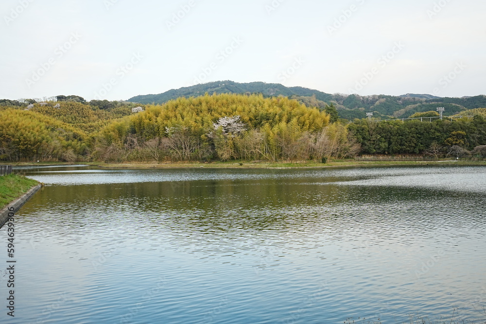 Ikusaka-ike Pond in Tenri Nara, Japan - 日本 奈良県 幾坂池 Ikusaka-ike Pond in Tenri Nara, Japan - 日本 奈良県 幾坂池