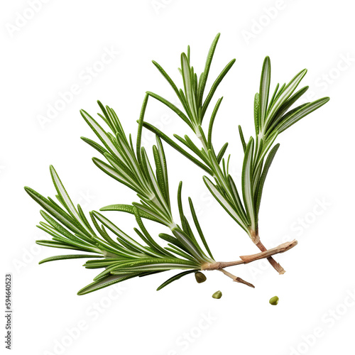 Fresh green organic rosemary leaves and peper isolated on white background. Transparent background